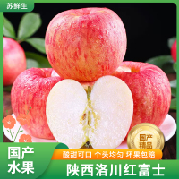 [苏鲜生]正宗陕西洛川红富士苹果 净重8.5斤 特大果 12-14枚 新鲜时令水果当季整箱