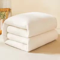 美罗之家 被芯 200*230cm 4斤 棉絮