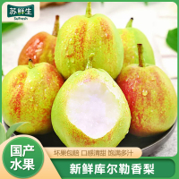 [苏鲜生]库尔勒香梨 20枚 单果100-120g 新鲜水果 当季香梨整箱青雪应季特产梨