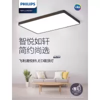 飞利浦(Philips)吸顶灯20W-24W