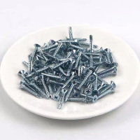 乾正 国标平头钻尾丝螺丝 平头4.2*16 1斤盒装