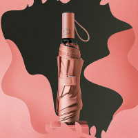 菲驰 自动雨伞VS006 (单位:件)(H)