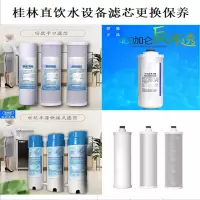 世纪丰源直营水设备滤芯A2款 (含更换与保养)