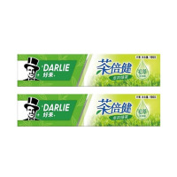 芳美达 DARLIE好来(原黑人)牙膏茶倍健绿茶190G*2 两只装