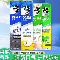 芳美达 DARLIE好来(原黑人)牙膏多效套装715G 四只装