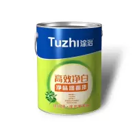 涂治 乳胶漆 白色 5KG(单位:桶)