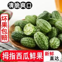 [西沛生鲜]正宗云南拇指小西瓜 125g*1盒 单果5-10g迷你网红母子小瓜佩普基诺稀奇生鲜