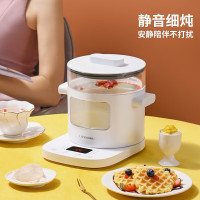 利仁(Liven) 养生壶 电炖锅 电火锅 燕窝炖盅 电煮锅 可预约定时YSG-D2003