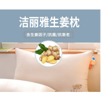 洁丽雅(grace)生姜枕(一个装)48x74cm 7585
