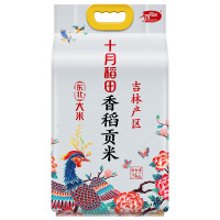 十月稻田 香稻 贡米5kg
