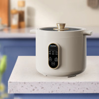 BLAUPUNKT德国蓝宝 电饭煲 1人-2人家用电饭锅煮饭锅多功能可预约家用电器 BP-DFB4020 标配