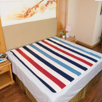 嘉若彤 电热毯电褥子 条纹款 双控调温除螨定时电褥子家用 两种可选 单个价
