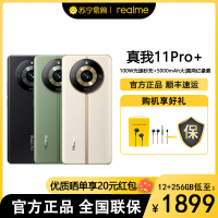 realme真我11pro+ 绿野之城 12GB+1TB 全网通5G 拍照 电竞游戏手机