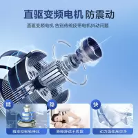 海尔 洗衣机 EB100B26Mate3 10公斤全自动智能波轮 单位:1台