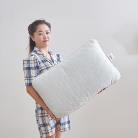 恒源祥TZT1023玻尿酸枕 45*70 单位:只 TZT1023