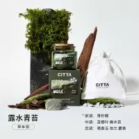 CITTA 西苔大地岩苔扩香晶石香薰礼盒 草本调-露水青苔