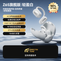 SANAG塞那 蓝牙耳机Z65 旗舰版白