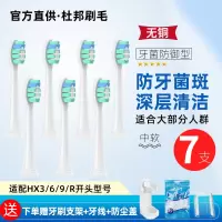 牙菌防御[7支]