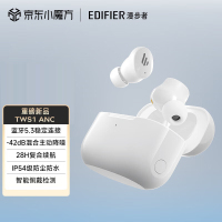 漫步者(EDIFIER)TWS1 ANC 真无线主动降噪蓝牙耳机 蓝牙5.3 入耳式混合主动降噪 霜凝白
