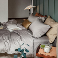 简约素色床上用品组合套装(四件套、枕头1个、棉被1张、空调被1张)