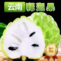 [熊猫鸟]云南释迦果 净重3斤 中果 单果100-200g 精选释迦果 牛奶释迦番荔枝 佛头果 新鲜热带水果