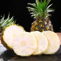 [熊猫鸟]云南牛奶凤梨 带箱3斤 当季新鲜水果 酸甜多汁 产地精选
