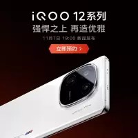 [新品预约]iQOO 12 Pro 传奇版 12GB+256GB 全网通5G手机 关注11月7日19点线上发布会 敬请期待