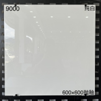Hittery 瓷砖 亮光 600×600×8.5mm 款式1(纯白)(单位:块)