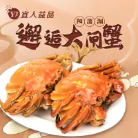 宜人益品 阳澄湖大闸蟹臻礼1198型