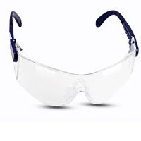 YPAY 护目镜 10196 单个价