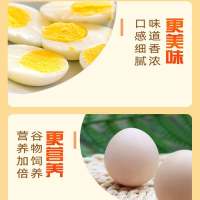 壹七农场鲜鸡蛋当天捡现发