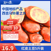 宁夏西吉马铃薯中国马铃薯之乡地理标志红皮土豆5斤