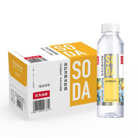 农夫山泉-苏打水-日向夏橘风味1*15*410mL-纸箱装