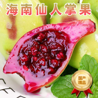 [熊猫鸟]海南新鲜仙人掌果 3斤装 新鲜应季稀奇古怪罕见热带水果 仙人果