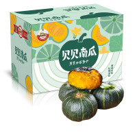 板栗香小南瓜 贝贝南瓜 严选5斤装