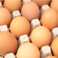 新鲜鸡蛋