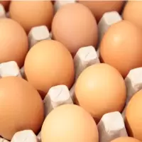 新鲜鸡蛋