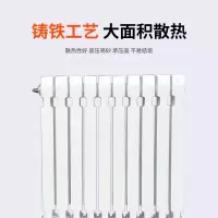 得力(deli) 铸铁水暖散热器 支腿高度780 单片
