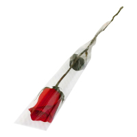 鲜花过节单支玫瑰花束单只包装单枝全国花店单支红玫瑰