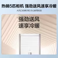 美的(Midea) RFD-120LW/BSDN8Y-PA401(B3)A 5匹柜式空调 中央空调变频冷