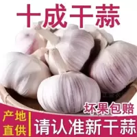 五个农民 山东大蒜 2.5千克 烹饪佐料.蘸料 辣味十足