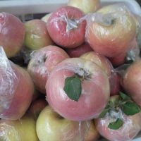 五个农民 山东冰糖心 丑苹果 5千克 外表丑、内心甜美的红富士 当季现摘