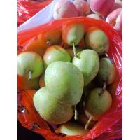 香梨,直径4.5cm以上,当季鲜果,袋装发货,10161001