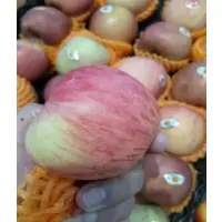 苹果,当季鲜果,直径7cm以上,10301004