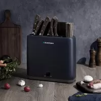 蓝宝(BLAUPUNKT) BP-DJXDQ003 刀具消毒机 (单位:台)