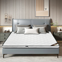 梦麦斯床垫 椰棕 环保棕榈 尺寸约1900*1000*100mm 单位:1张