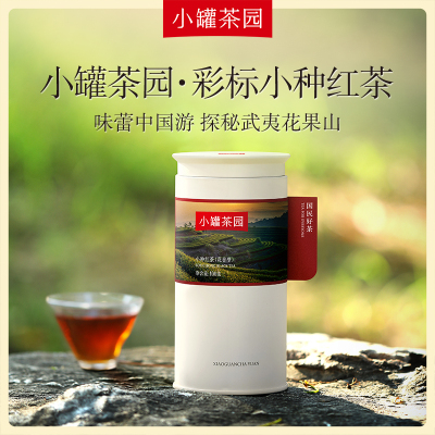 小罐茶园彩标系列花香型小种红茶散茶单罐装100g一级茶叶自己喝