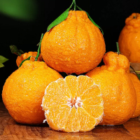 [熊猫鸟]四川不知火柑橘 中果 3斤 单果65-75mm 箱装丑橘橘子甜蜜多汁新鲜应季水果丑八怪柑桔子耙耙橘子