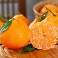 [熊猫鸟]新鲜耙耙柑橘 特大果 净重9斤 单果80mm以上 箱装橘子甜蜜多汁新鲜应季水果桔子耙耙橘子