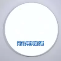 FSL佛山照明吸顶灯LED白25W